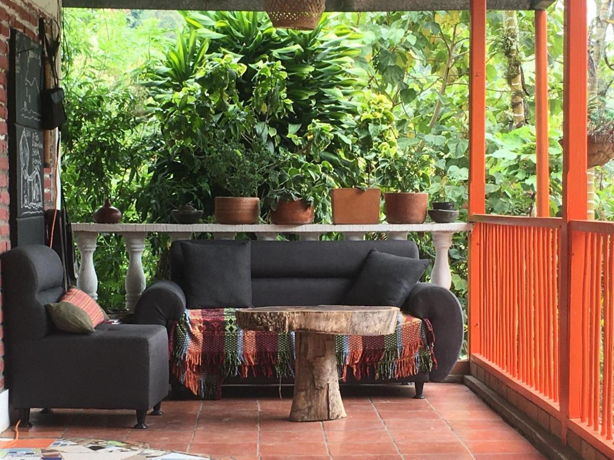 Habitacion Las Bromelias, Pijao, Finca Flora Del Rio Экстерьер фото