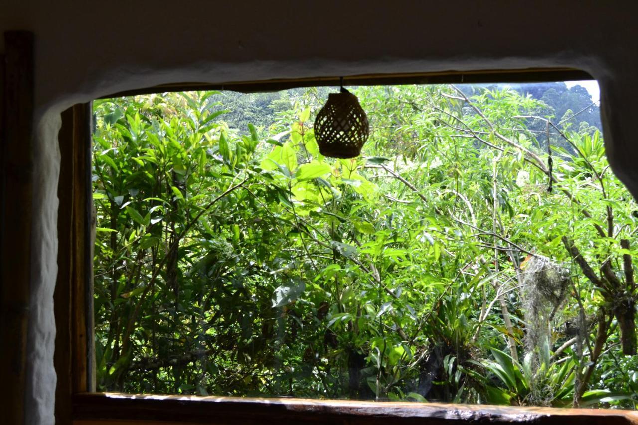 Habitacion Las Bromelias, Pijao, Finca Flora Del Rio Экстерьер фото